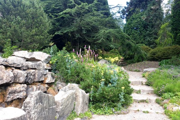 Das Bild zeigt einen Weg im Grugrapark Essen