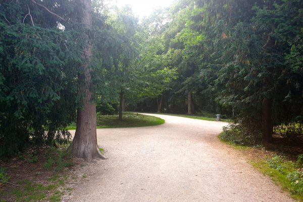 Das Bild zeigt den Hertener Schlosspark