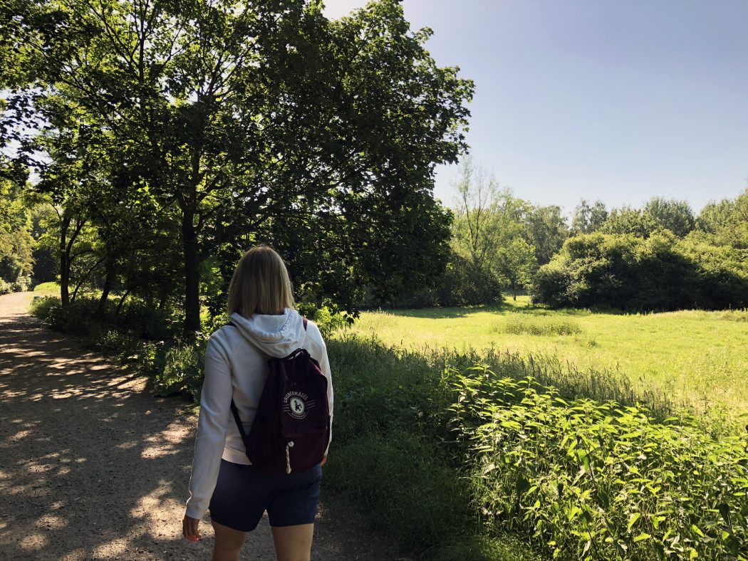 Das Bild zeigt den Wanderweg in Herne.