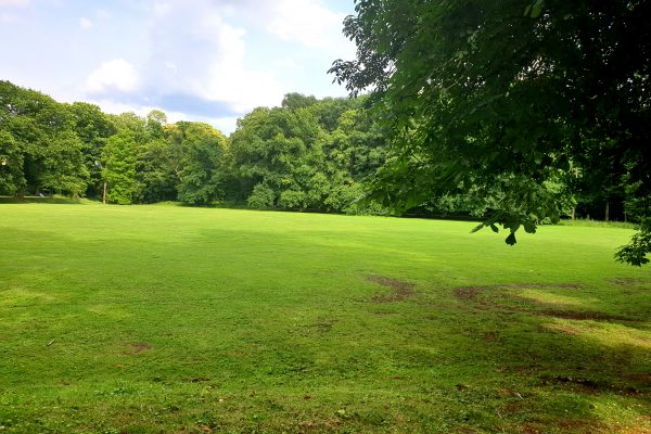 Das Bild zeigt den Hertener Schlosspark