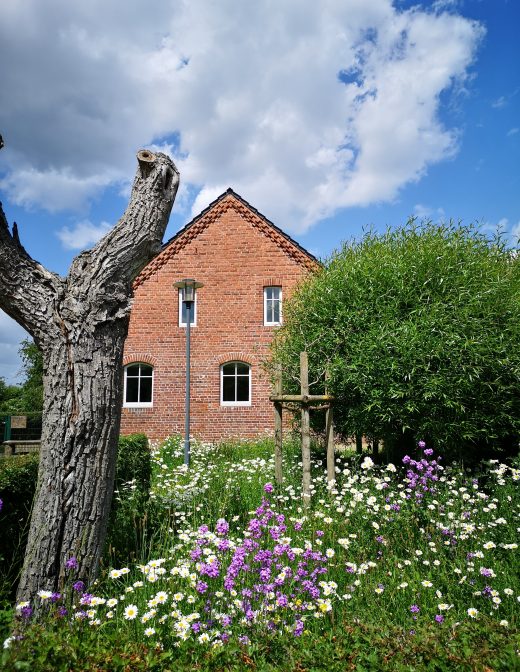 Das Bild zeigt ein Backsteinhaus mit Blumen davor.