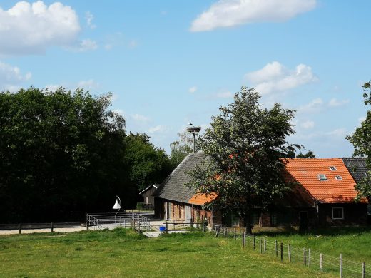 Auf dem Bild sieht man einen Bauernhof und ein Storchennest