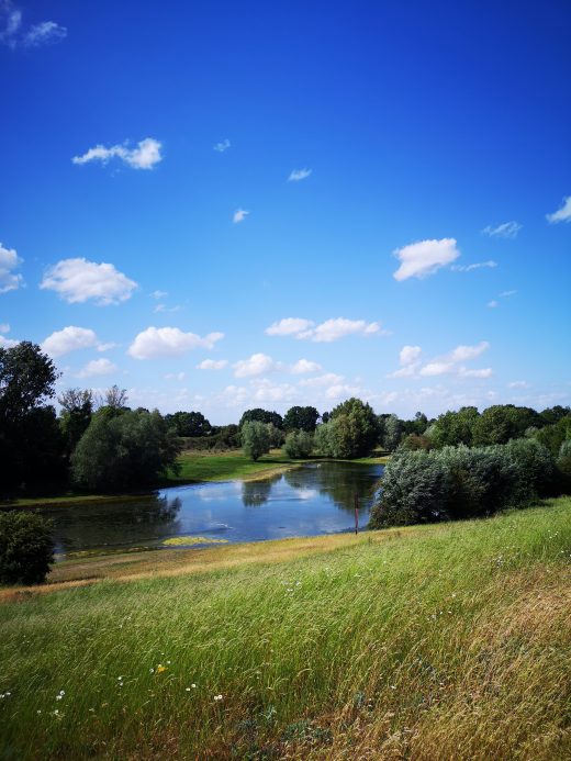 Auf dem Bild sieht man einen See und eine grüne Wiese.