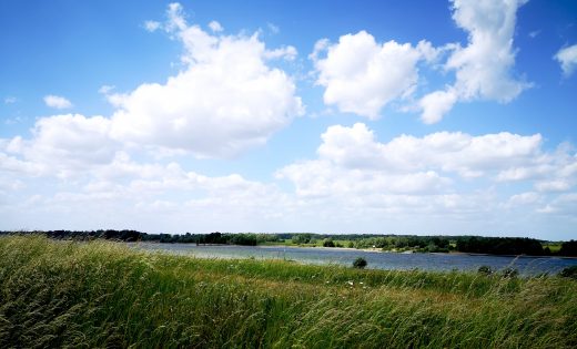 Das Bild zeigt den Rhein und Wiesen.