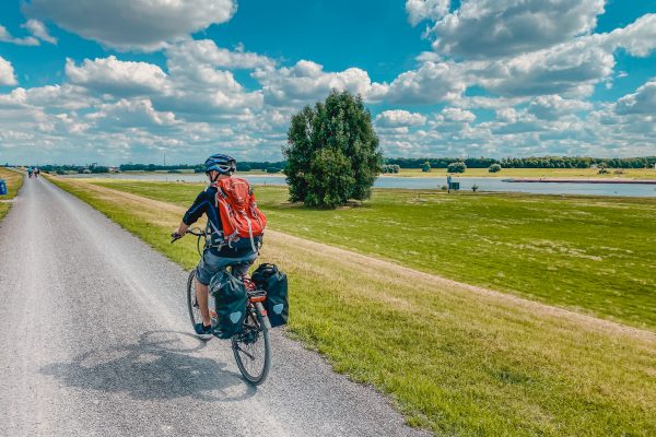 Das Bild zeigt einen Radfahrer an den großen Au-Wiesen des Rheins