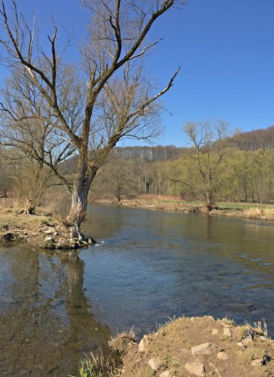 Das Foto zeigt die idyllische Lenne in Hagen