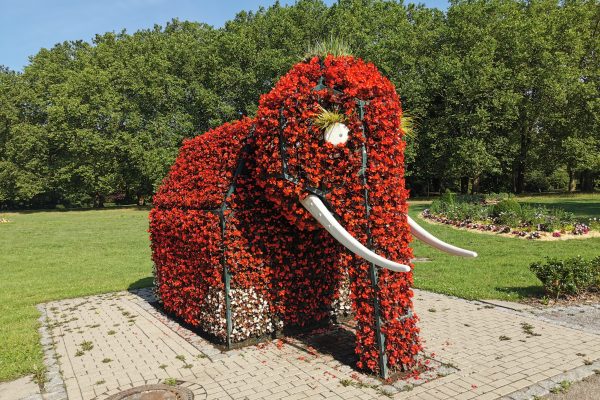 Das Foto zeigt einen Elefant aus Blumen in Hamm