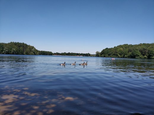 Das Bild zeigt die Sechs-Seen-Platte in Duisburg