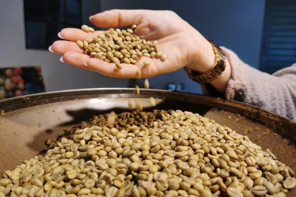 Das Foto zeigt Liberica Kaffeebohnen im Bebuna in Hamm