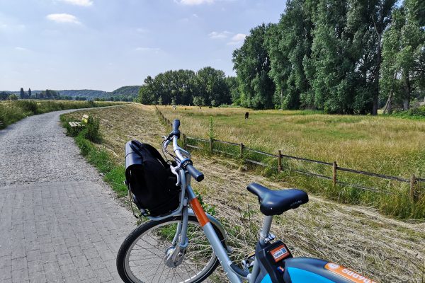 Das Foto zeigt ein Metropolrad auf dem RuhrtalRadweg in Mülheimi