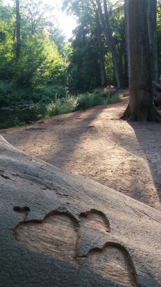 Das Foto zeigt das Rotbachtal in Dinslaken