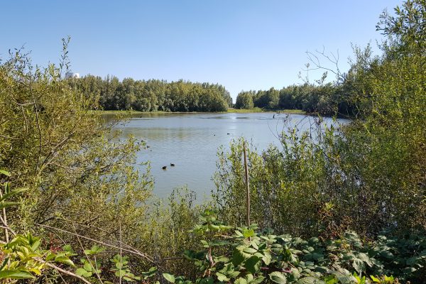 Das Foto zeigt die Rheinauen bei Walsum