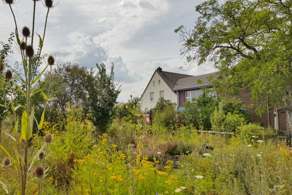 Das Foto zeigt den idyllischen Garten des Hof Emscher-Mündung