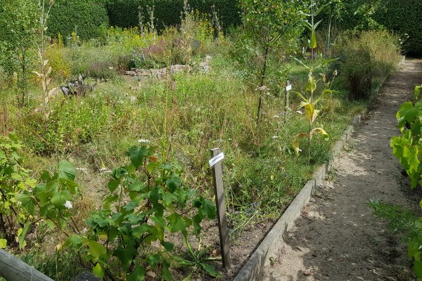 Das Foto zeigt den Bauerngarten am Hof Emschermündung in Dinslaken