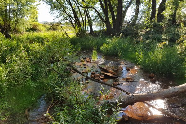 Das Foto zeigt Naturoasen in Dinslaken