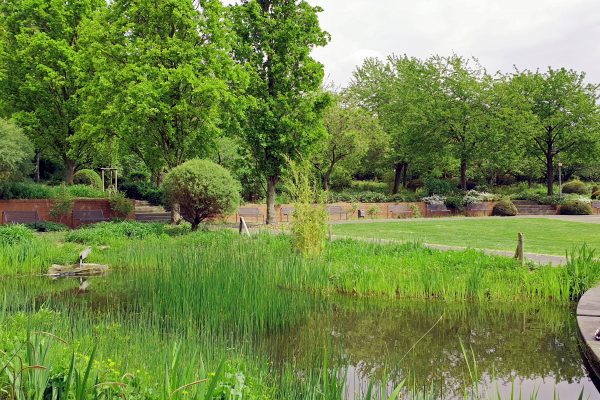 Das Bild zeigt einen kleinen See in einem Park