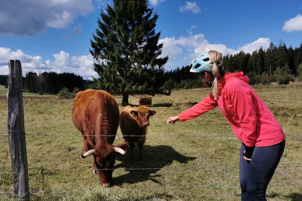 Das Foto zeigt Sandra mit einem Kalb am RuhrtalRadweg