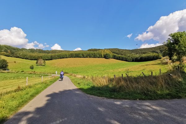 Das Foto zeigt traumhafte Landschaften am Wegesrand des RuhrtalRadwegs im Sauerland