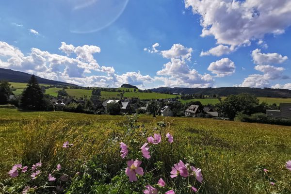 Das Foto zeigt die schöne Landschaft in Winterberg