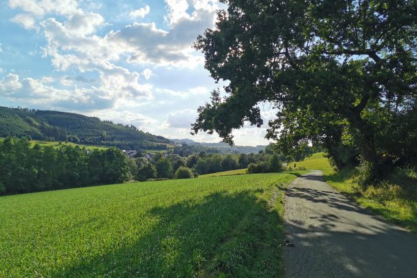 Das Foto zeigt die Landschaft an RuhrtalRadweg in Meschede