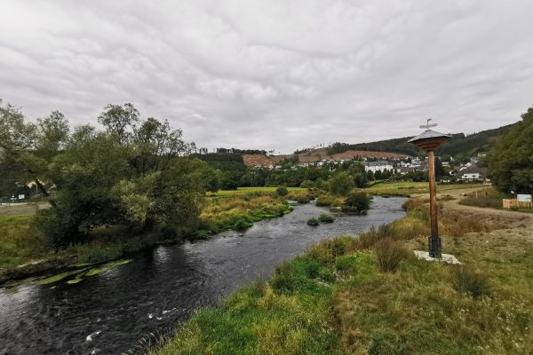 Das Foto zeigt die Ruhr in Arnsberg