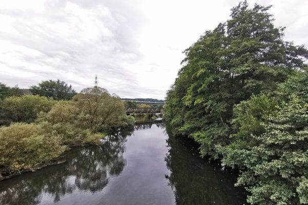 Das Foto zeigt die ruhige Ruhr in Arnsberg