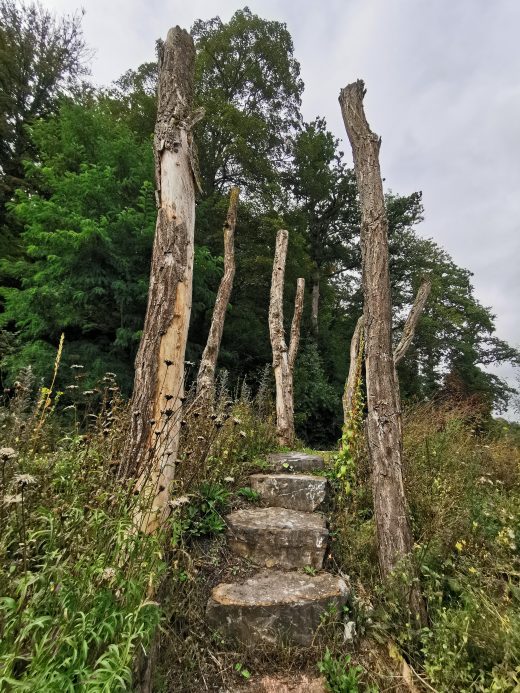 Das Foto zeigt den „Natur-Erlebnis-Raum“ in Arnsberg