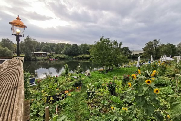 Das Foto zeigt den gemütlichen Garten des Picassos in Witten