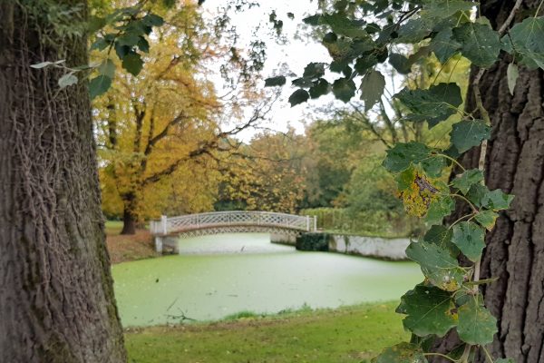 Das Foto zeigt die Brücke auf der Garteninsel des Schloss Schwansbells in Lünen