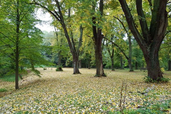 Das Foto zeigt den Schlosspark des Schloss Schwansbell in Lünen