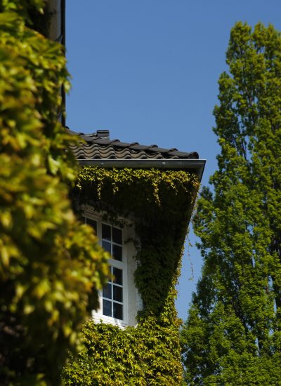 Das Bild zeigt die Gartenstadt Margarethenhöhe in Essen