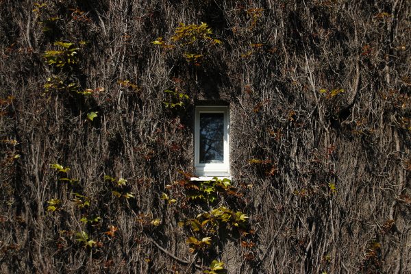 Das Bild zeigt die Gartenstadt Margarethenhöhe in Essen