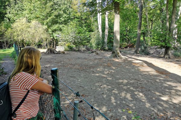 Das Foto zeigt Heike mit Blick auf die Wildschweine im Schlosspark Weitmar