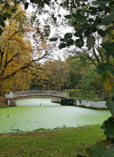 Das Foto zeigt die Brücke auf der Garteninsel des Schloss Schwansbells in Lünen