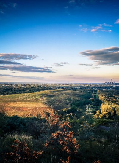 Das Foto zeigt eine Aussicht aufs Ruhrgebiet