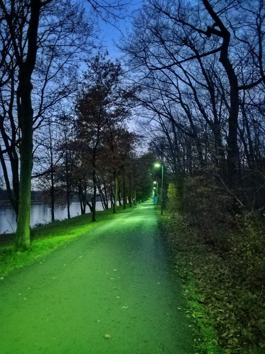 Das Bild zeigt einen grün beleuchteten Weg