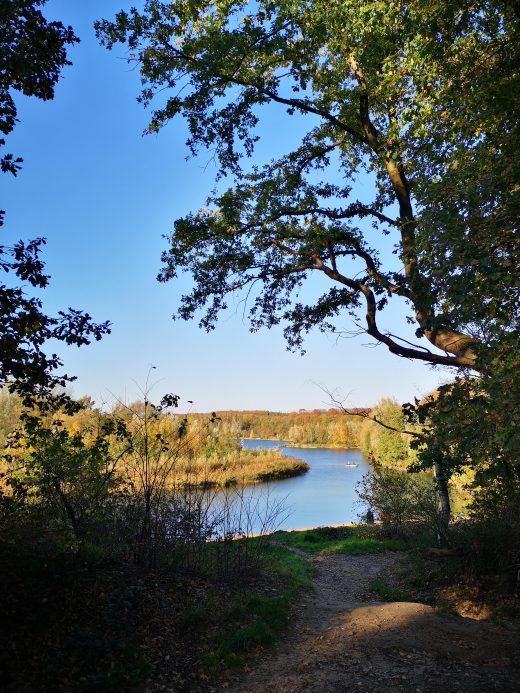 Das Bild zeigt den Ausblick auf einen See