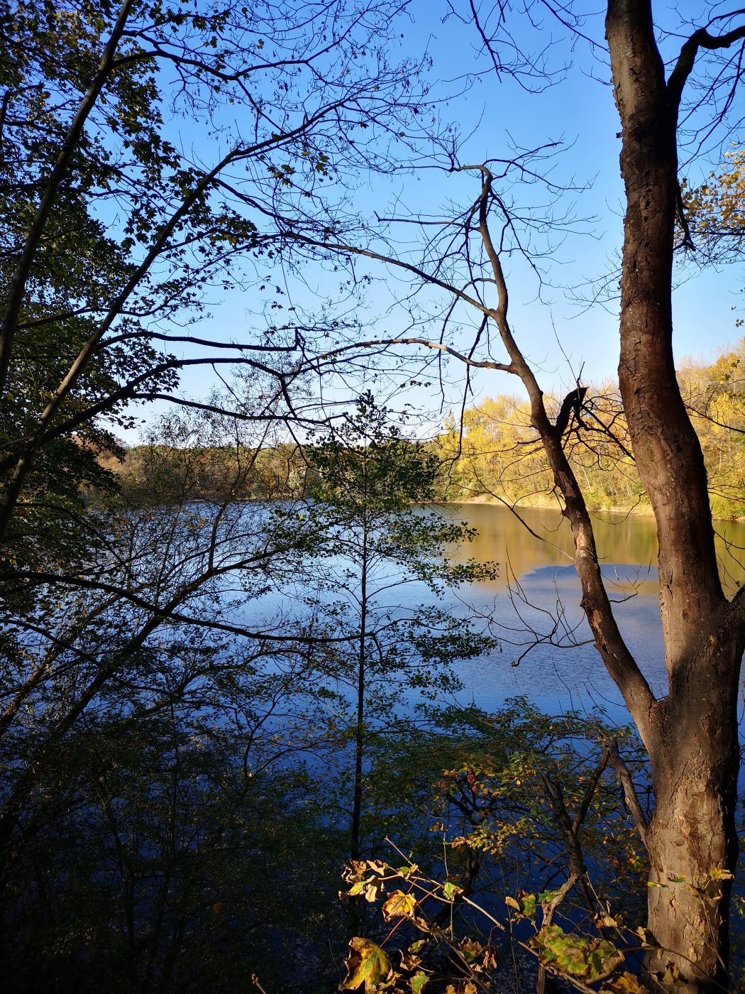 Das Bild zeigt den Blick auf einen See