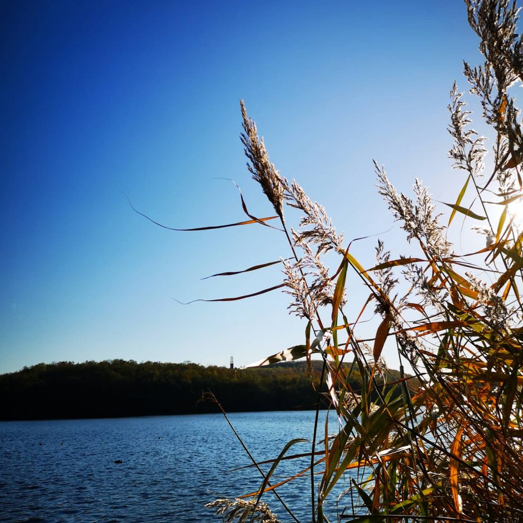 Das Bild zeigt einen See