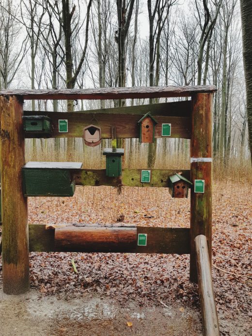 Das Foto zeigt Vogelbrutkästen einer Erlebnisstation im Süggelwald in Dortmund