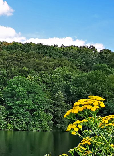 Das Foto zeigt Radprofi Ben Zwiehoff auf seiner Gravel-Runde rund um Dortmund