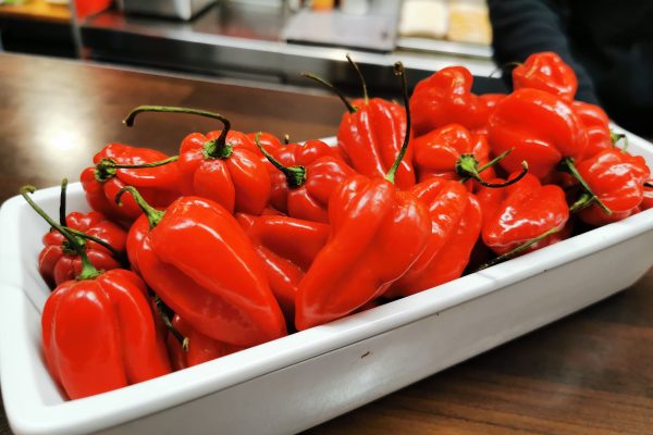 Das Foto zeigt frische Habanero Chilis bei "Die Curyrwurst" in Wanne-Eickel