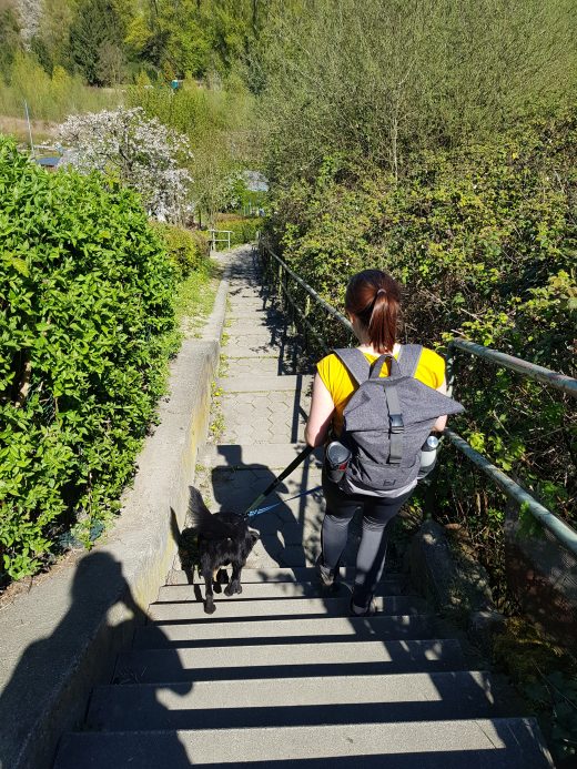 Das Foto zeigt eine Frau mit Hund auf dem Weg zum Emscherweg in Dortmund