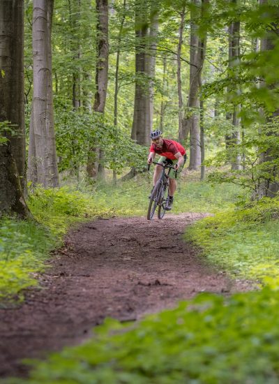 Das Foto zeigt Jochen auf dem Gravelbike im Duisburger Wald