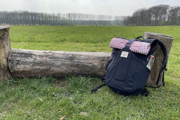 Das Foto zeigt einen Baumstamm auf derm Auberg in Mülheim an der Ruhr, der sich perfekt für ein Picknick im Ruhrgebiet eignet