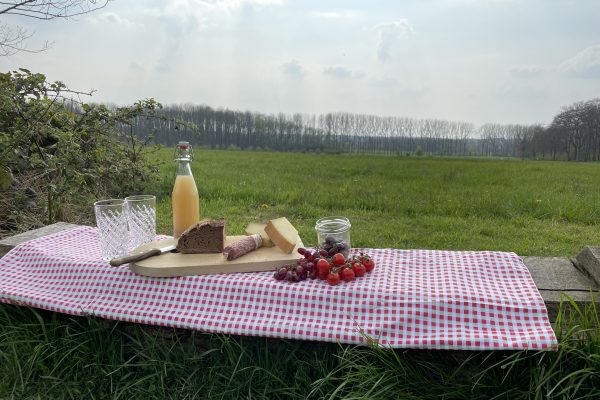 Das Foto zeigt Käse, Trauben und Tomaten als Picknick im Ruhrgebiet auf dem Auberg in Mülheim an der Ruhr