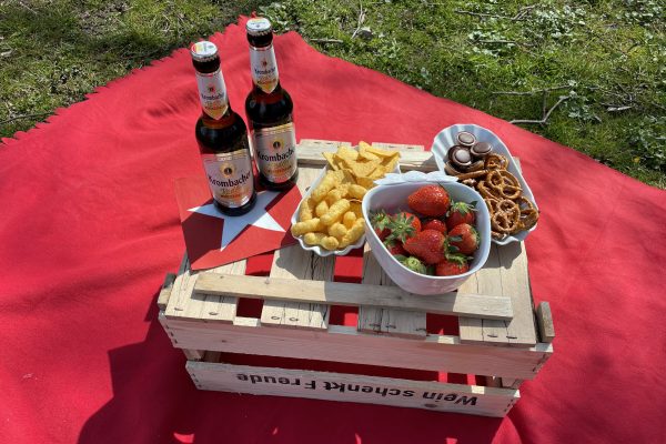 Das Foto zeigt Snacks und Getränke beim Picknick an der Hohensyburg in Dortmund