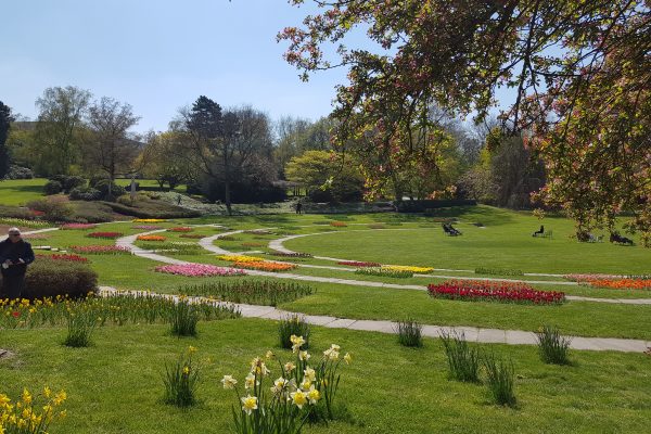 Das Foto zeigt den Grugapark in Essen, der sich bestens für ein Picknick im Ruhrgebiet eignet