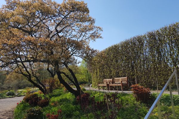 Das Foto zeigt eine Bank im Grugapark Essen