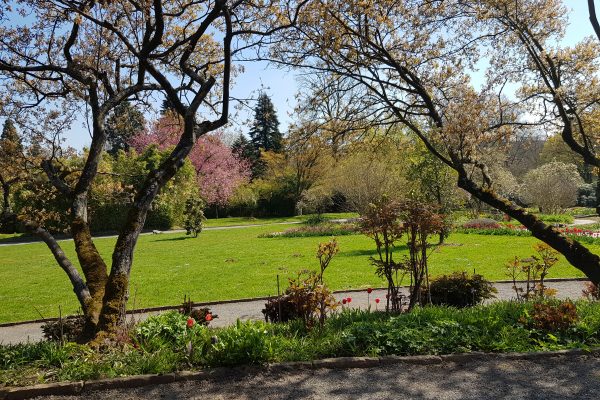 Das Foto zeigt den Grugapark in Essen